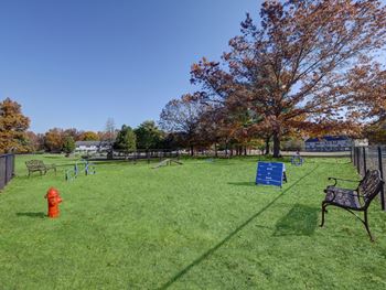 Dog park